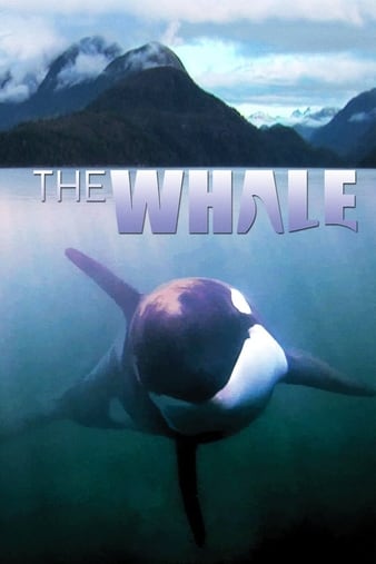 Watch Free The Whale (2011)