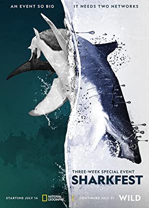 Watch Free Man vs. Shark (2019)