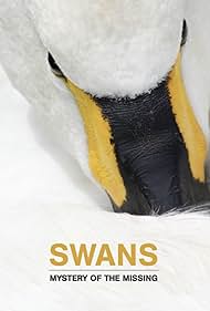 Watch Free Swans Mystery of the Missing (2019)