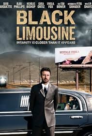 Watch Free Black Limousine (2010)