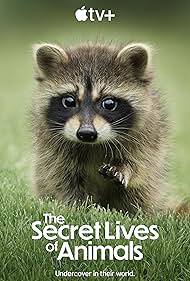 Watch Free The Secret Lives of Animals (2024–)